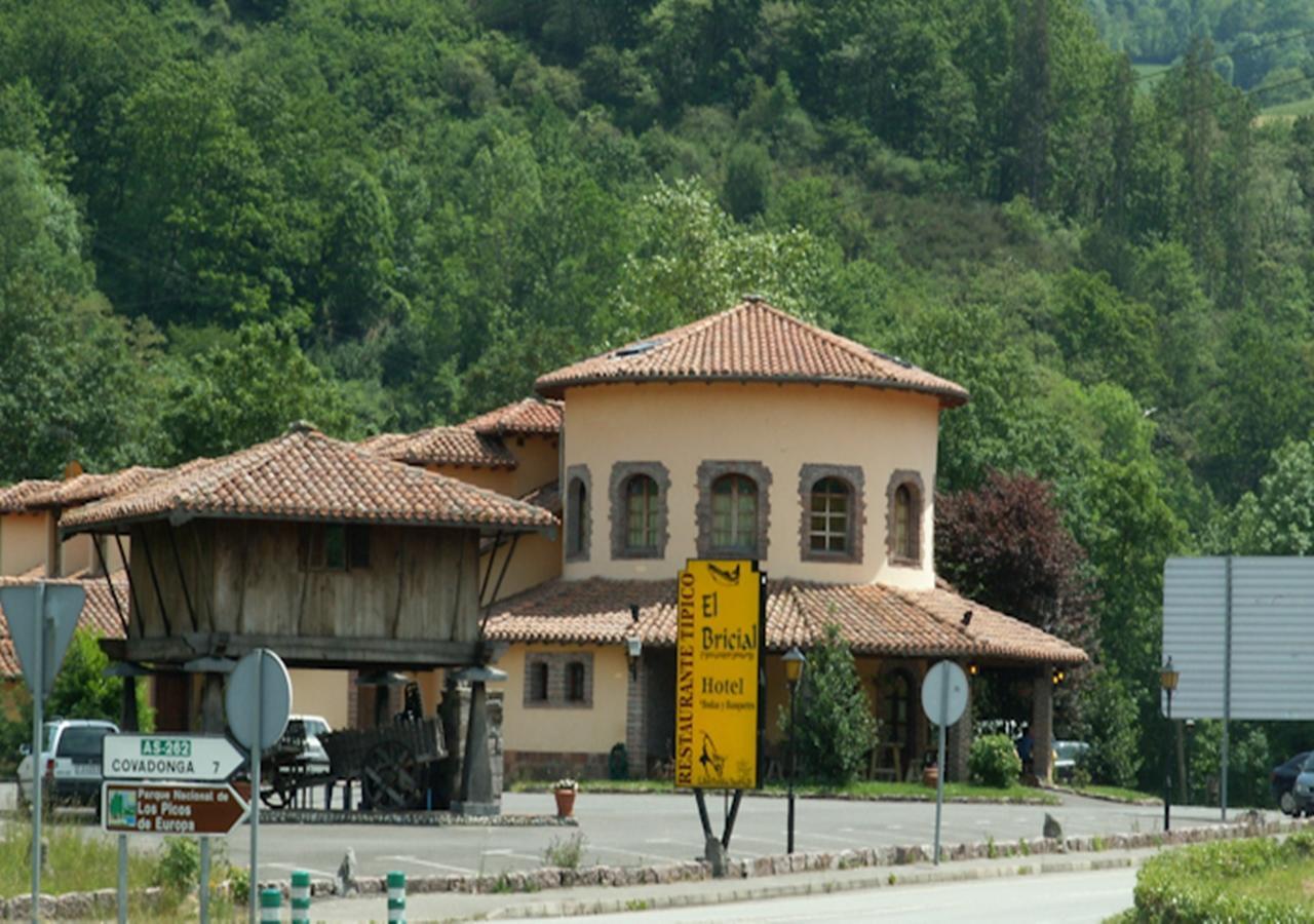 Hotel El Bricial Soto De Cangas Exterior photo